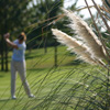 Accommodation in Lignano Sabbiadoro
