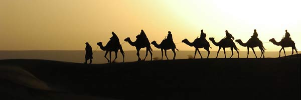 Dubai Hotels