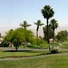 Accommodation in Palm Springs