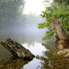 Accommodation in Branson