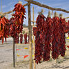 Accommodation in Albuquerque