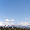 Accommodation in Salt Lake City